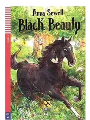 BLACK BEAUTY - HUB TEEN READERS