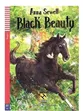 BLACK BEAUTY - HUB TEEN READERS